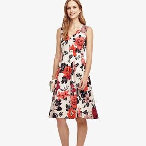 Ann Taylor Floral Dress NWT size 2